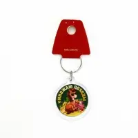 Брелок из пластика &laquo;Новогодний&raquo;, 6 шт., 5&times;4 см, МИКС