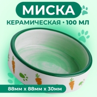 Миска керамическая с морковками 100 мл 8,8 х 8,8 х 3 см, белая/зелёная Миска керамическая с морковками 100 мл 8,8 х 8,8 х 3 см, белая/зелёная