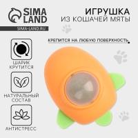 Игрушка для кошек &laquo;Ракета&raquo; из кошачьей мяты