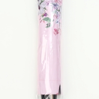 Зонт механический «Птицы», эпонж, 4 сложения, 10 спиц, R = 56/63 см, D = 126 см, цвет МИКС Зонт механический «Птицы», эпонж, 4 сложения, 10 спиц, R = 56/63 см, D = 126 см, цвет МИКС