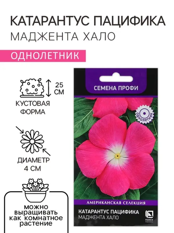 Семена цветов Катарантус Пацифика  "Маджента Хало" 10 шт