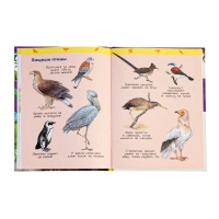 Детская энциклопедия "Дикие животные"