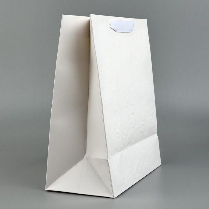 Пакет ламинированный вертикальный Beautiful, ML 23 &times; 27 &times; 11,5 см