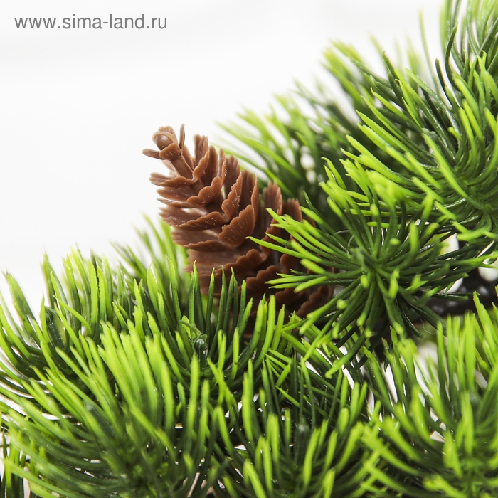 Бонсай в горшке "Ель с шишками" 12х19 см