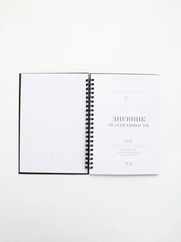 Дневник осознанности в тв. обл.  А5, 86 л "Я могу. Делаю"