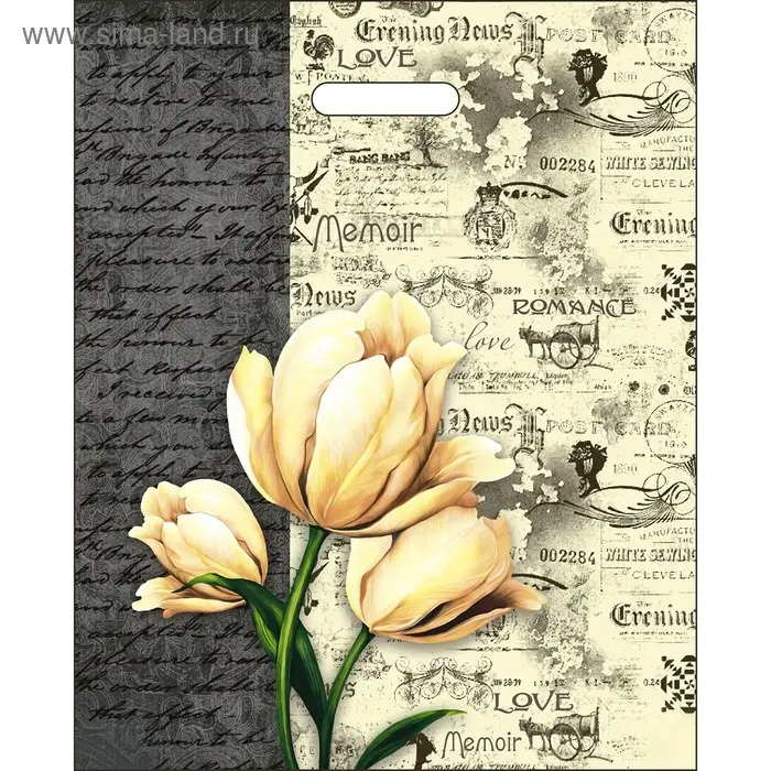 Пакет "Мемуары", полиэтиленовый, с вырубной ручкой, 38 х 47 см, 60 мкм