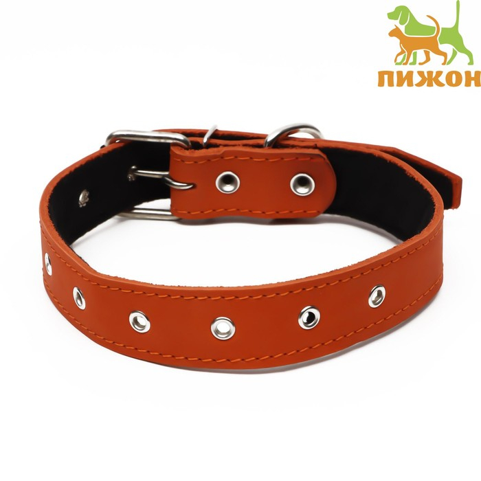 Ошейник кожаный на синтепоне, безразмерный, 71 х 3,5 см, ОШ 29-62 см, оранжевый Ошейник кожаный на синтепоне, безразмерный, 71 х 3,5 см, ОШ 29-62 см, оранжевый