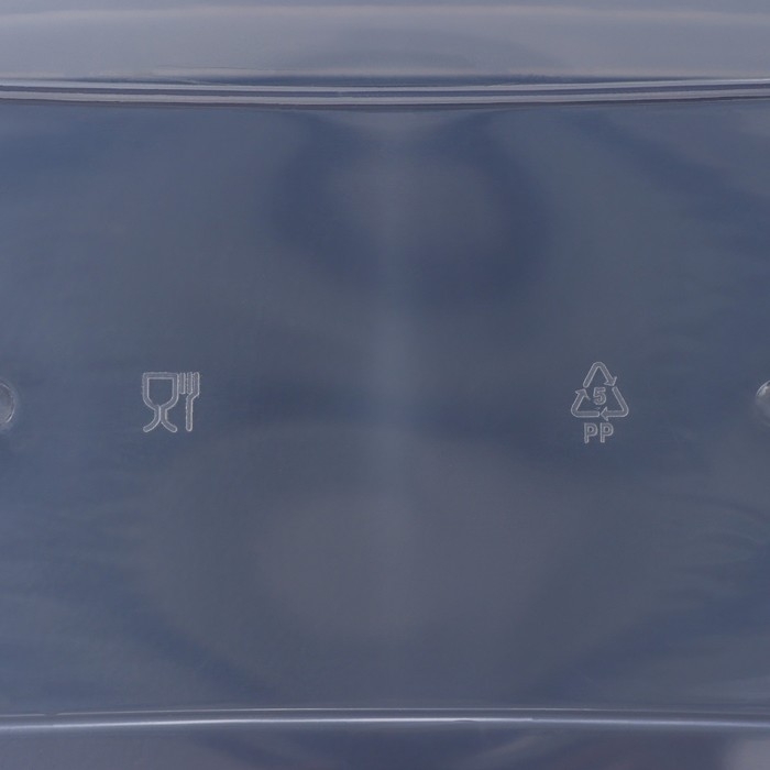 Контейнер для хранения, 4 л, 29&times;19&times;13 см, с крышкой, салатовый