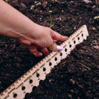 Линейка для посадки семян, 40 см, Greengo