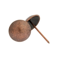 Гвозди ТУНДРА, декоративные, обивочные, 25х39 мм, медь, 100 шт Гвозди ТУНДРА, декоративные, обивочные, 25х39 мм, медь, 100 шт