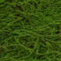 Декоративная панель, 90 × 40 см, «Папоротник», Greengo Декоративная панель, 90 × 40 см, «Папоротник», Greengo