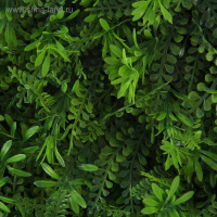 Декоративная панель, 40 &times; 60 см, &laquo;Разнотравье&raquo;, Greengo