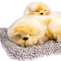 Игрушка на панель авто, собаки на подушке, бежевый окрас Игрушка на панель авто, собаки на подушке, бежевый окрас