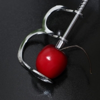 Удалитель косточек Доляна &laquo;Любитель&raquo;, 12,5 см, цвет серебряный