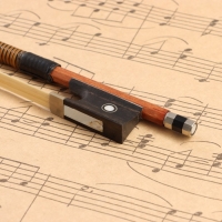 Смычок для скрипки Music Life 4/4 high quality, 74,5 см Смычок для скрипки Music Life 4/4 high quality, 74,5 см