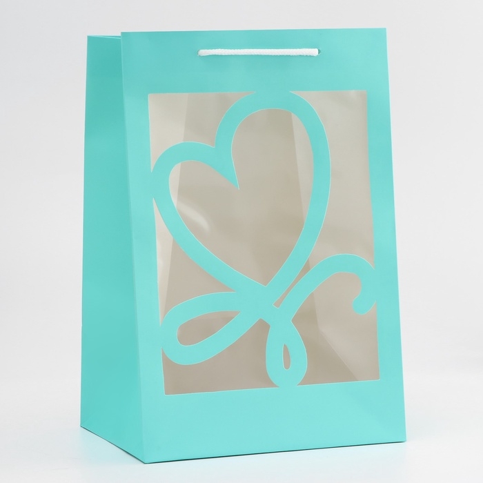 Пакет подарочный с фигурным окном, 20 х 16 х 30 см, голубой Пакет подарочный с фигурным окном, 20 х 16 х 30 см, голубой