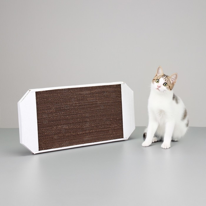 Когтеточка-лежанка из гофрокартона Когтеточка-лежанка из гофрокартона "Пижон", 49 х 23 х 2,5 см