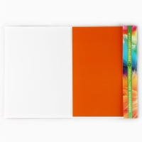 Картон цветной двусторонний А4 мелованный в папке 10 листов 20 цветов 230г &laquo;1 сентября: БукиБяки&raquo;