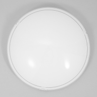 Светильник настенно-потолочный "Шарлин" 2лампы E27 60Вт 30 см. Светильник настенно-потолочный "Шарлин" 2лампы E27 60Вт 30 см.