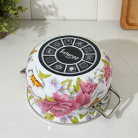 Кастрюля эмалированная &laquo;Пион&raquo;, 3.1 л, индукция