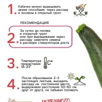 Семена Кабачок цуккини "Фараон", 1 г