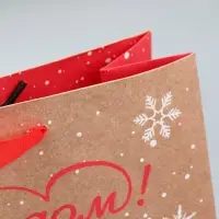 Пакет подарочный новогодний крафтовый &laquo;Милый дракон&raquo;, M 30 х 26 х 9 см