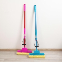 Швабра для мытья пола с двойным роликовым отжимом Доляна, насадка ПВА 28&times;6 см, телескопическая ручка 96-119 см, цвет МИКС