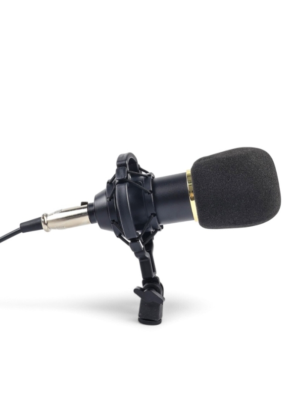Микрофон конденсаторный Music Life золотой: кабель, ветрозащита, стойка