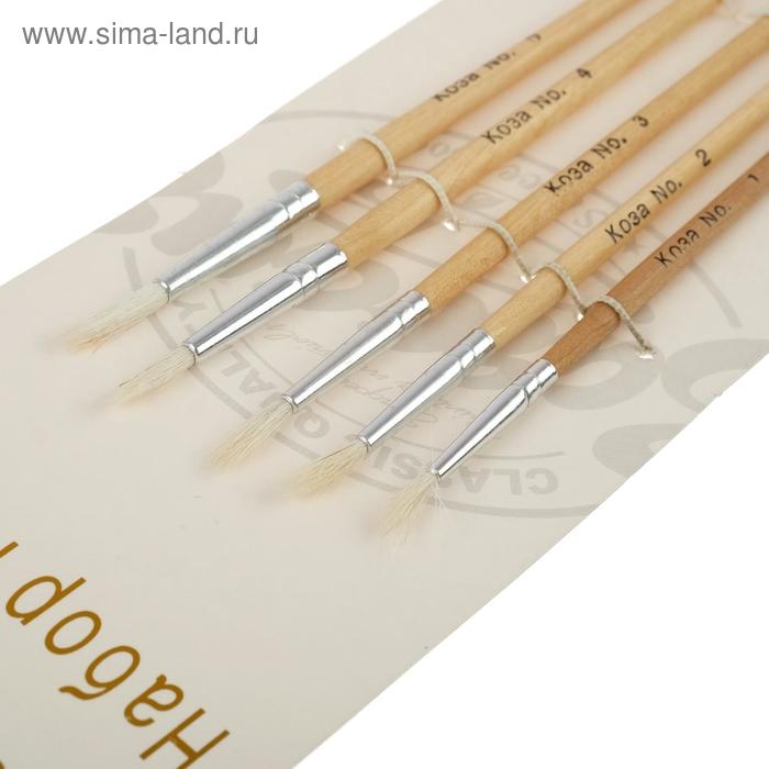 Набор кистей коза, 5 штук (№1, 2, 3, 4, 5), круглые, с деревянными ручками, в блистере