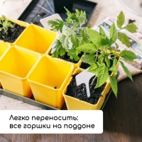 Набор для рассады: стаканы по 200 мл (18 шт.), поддон 36,5 &times; 17 см, цвет МИКС, Greengo