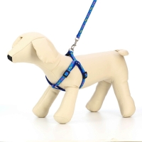 Шлейка с поводком &laquo;Цветные следы&raquo;, 23-35 см, ширина 1 см, поводок 120 см, синяя