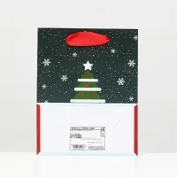 Пакет ламинированный &laquo;Ночь перед рождеством&raquo; 11.5&times;14.5&times;6 см