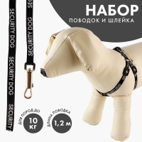 Комплект Security dog, шлейка 26-39 см, поводок 120х1 см Комплект Security dog, шлейка 26-39 см, поводок 120х1 см