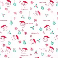 Бумага упаковочная тишью "Дед Мороз!", белая, 50 х 66 см