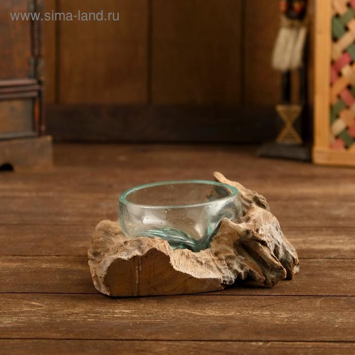 Вазон стекло на коряге "Блюдо" 15х15х8 см