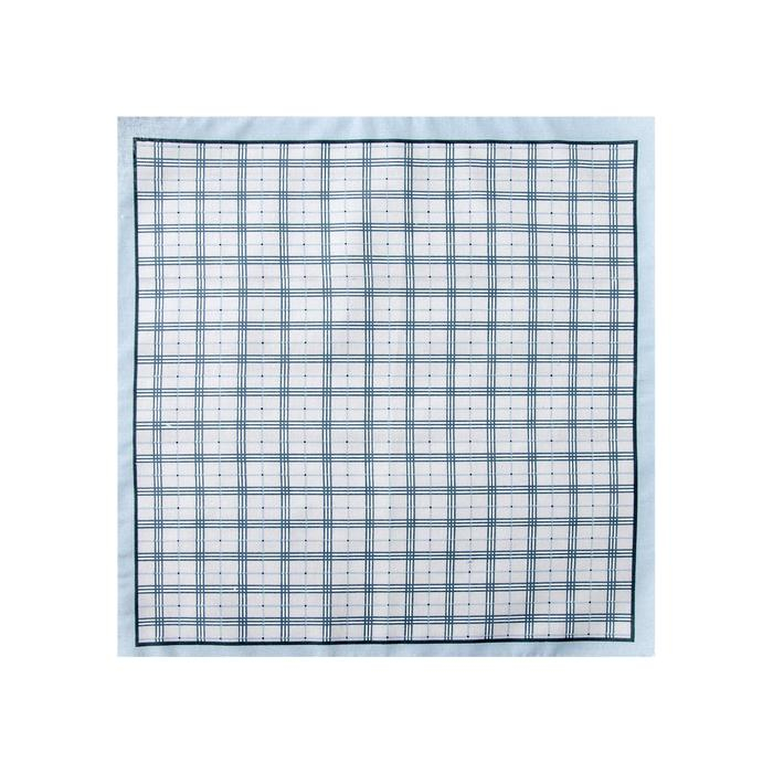 Платки носовые мужские Этель Платки носовые мужские Этель "Серджио" 30*30 см,(набор 12 шт,) цв.серый, рис. МИКС, 100% хл