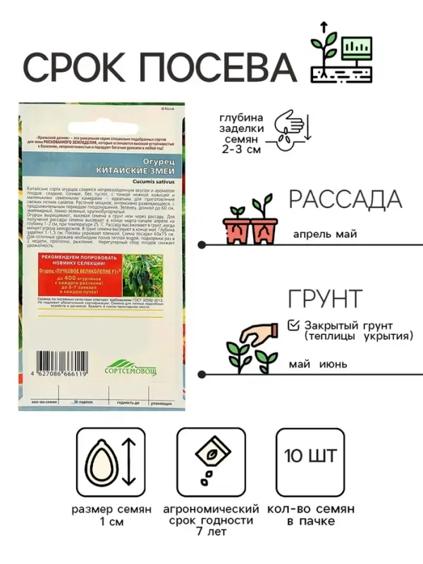 Семена Огурец "Китайский Змей", среднепоздний, пчелоопыляемый, 10  шт