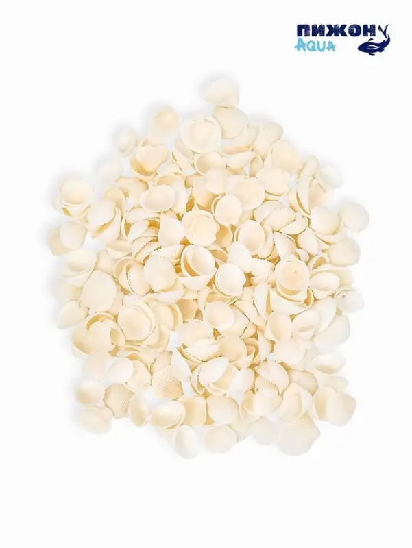 Набор ракушек декоративных 1,5-3 см, 100  г