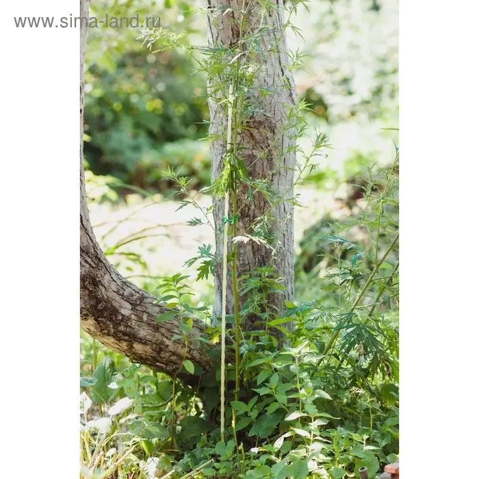 Колышек для подвязки растений, h=100 см, d=8 мм, стеклопластик, Greengo