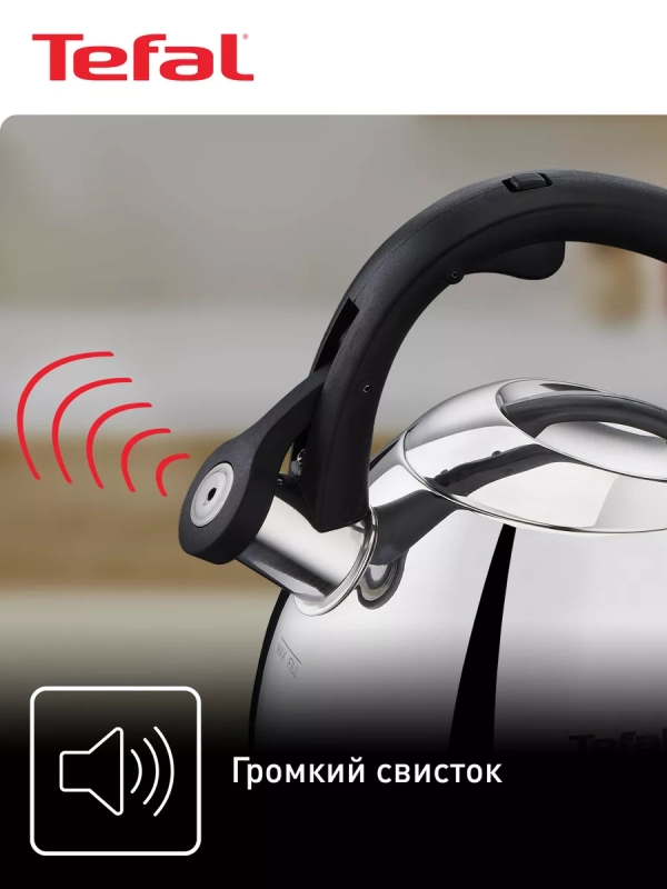 Чайник для плиты Duetto+ N4180110, 2.7 л, стальной