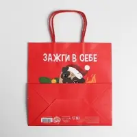 Пакет подарочный новогодний &laquo;Зажги в себе&raquo;, 22 х 22 х 11 см