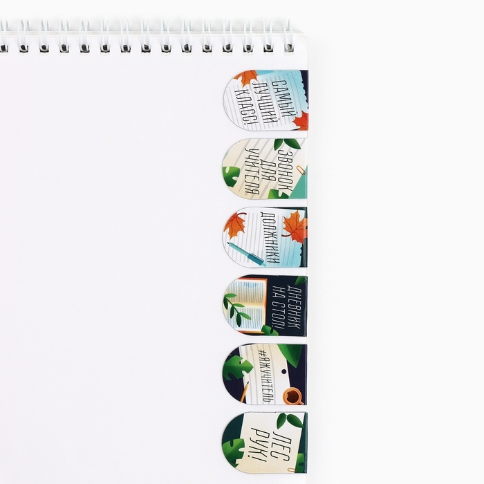 Закладки магнитные на подложке, 6 шт. &laquo;Лучшему учителю&raquo;