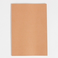 Набор подарочный "A little bit wild" плед, носки, бутылка, блокнот