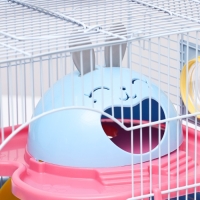 Клетка для грызунов "Пижон", укомплектованная с туннелем, 37 х 27 х 30 см, синий Клетка для грызунов "Пижон", укомплектованная с туннелем, 37 х 27 х 30 см, синий