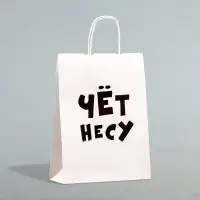 Пакет подарочный бумажный &laquo;Чёт несу&raquo;, 24&times;14&times;28 см
