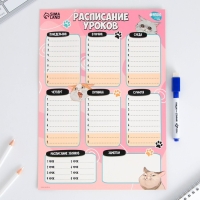Расписание уроков «Милые кошечки» А4, многоразовое магнитное с маркером Расписание уроков «Милые кошечки» А4, многоразовое магнитное с маркером