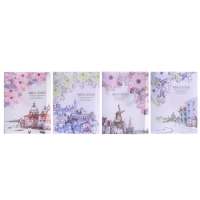 Папка А4, "Города" 30 прозрачных файлов, пластик, 400 мкм, МИКС Папка А4, "Города" 30 прозрачных файлов, пластик, 400 мкм, МИКС