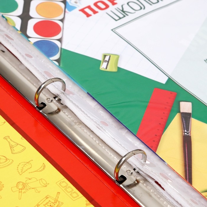 Папка школьная на кольцах &laquo;Портфолио школьника&raquo;, 10 листов-разделителей, 24,5 х 32 см.