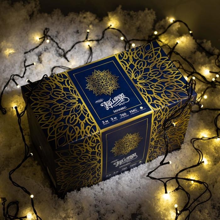 Гирлянда &laquo;Занавес&raquo; 2 &times; 3 м, IP44, УМС, тёмная нить, 760 SMD-LED, свечение тёплое белое, 220 В