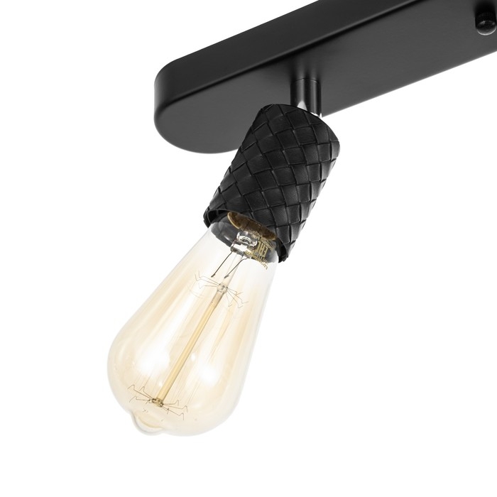 Потолочный светильник Потолочный светильник "Скин" 3хЕ27 40Вт черный 30х6х16см